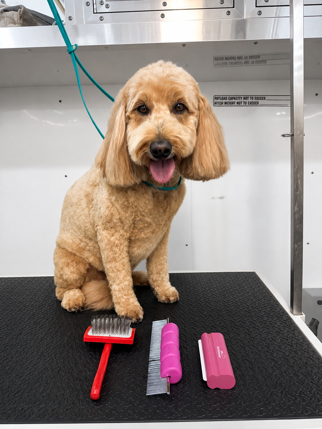 The Grooming Edit